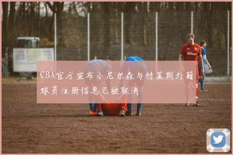 CBA官方宣布小尼尔森与特莱斯外籍球员注册信息已被取消