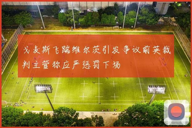 戈麦斯飞踹维尔茨引发争议前英裁判主管称应严惩罚下场