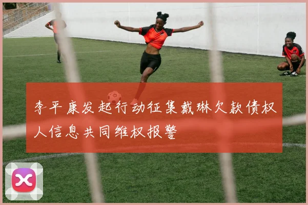 李平康发起行动征集戴琳欠款债权人信息共同维权报警