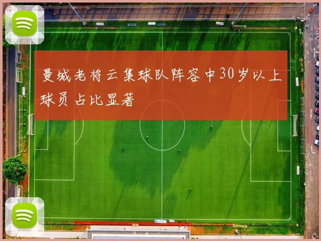 曼城老将云集球队阵容中30岁以上球员占比显著