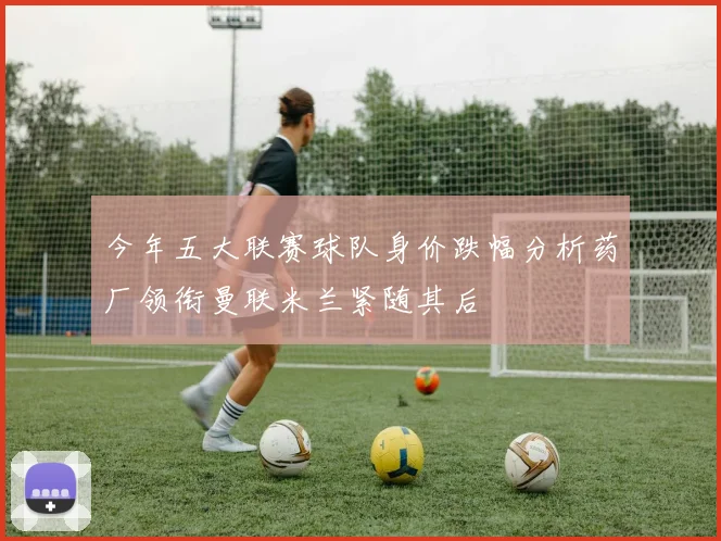 今年五大联赛球队身价跌幅分析药厂领衔曼联米兰紧随其后