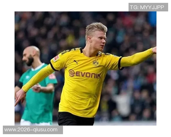 近五年英超最佳引援评选结果出炉哈兰德毫无悬念夺冠B费紧随其后 近五年英超最佳引援评选结果出炉哈兰德毫无悬念夺冠B费紧随其后