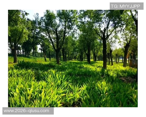 奥特古德温刻苦训练成效显著期待他未来更精彩的表现